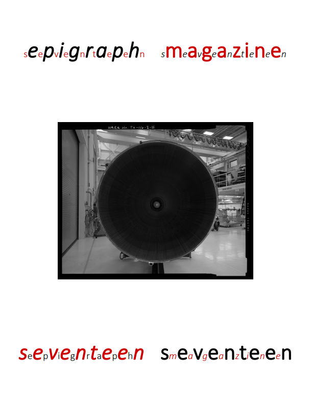 Issue Seventeen